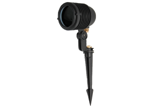 1597?width=303&height=210&timestamp=1781515090.54949