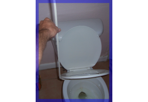 1886?width=303&height=210&timestamp=1752142598.85796