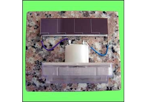 2161?width=303&height=210&timestamp=1781514627.32849