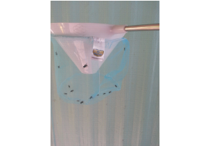 2799?width=303&height=210&timestamp=1749690177.78887