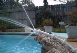 2955?width=303&height=210&timestamp=1781515136.88258