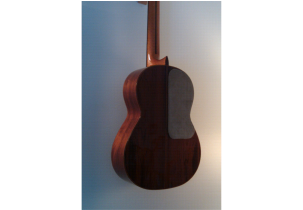 2988?width=303&height=210&timestamp=1781514410.39549