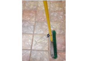 3189?width=303&height=210&timestamp=1749819447.4467