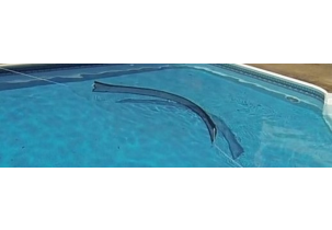 3595?width=303&height=210&timestamp=1781514743.53625