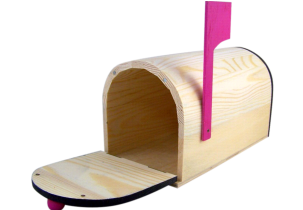 4223?width=303&height=210&timestamp=1749774010.6816