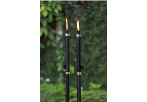 4491?width=303&height=210&timestamp=1751582602.27324