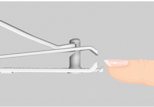 4833?width=303&height=210&timestamp=1749229454.42512