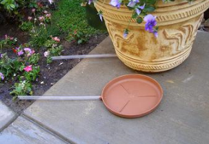 601?width=303&height=210&timestamp=1781516581.98457